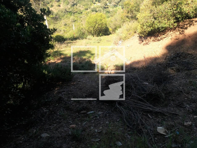 Local en Calle Torrent del Llort    , Vacarisses Barcelona