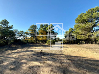 Local en Vinaixa Lleida