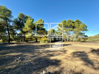 Local en Vinaixa Lleida