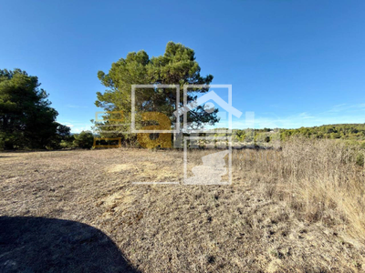 Local en Vinaixa Lleida