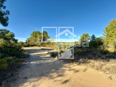 Local en Vinaixa Lleida