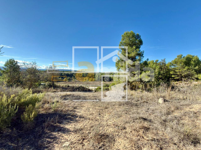 Local en Vinaixa Lleida