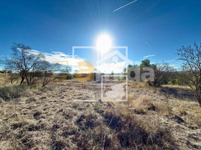 Local en Vinaixa Lleida