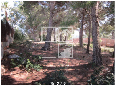 Local en Calafell Tarragona