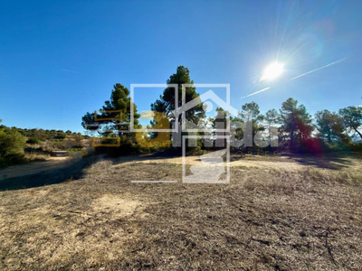 Local en Vinaixa Lleida