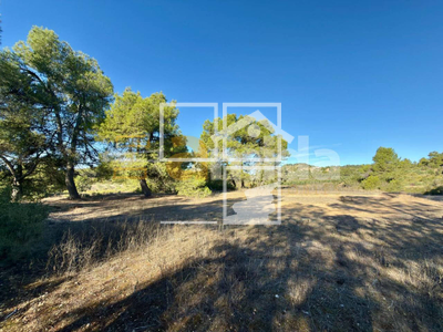 Local en Vinaixa Lleida