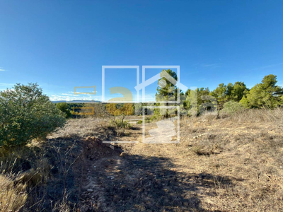 Local en Vinaixa Lleida