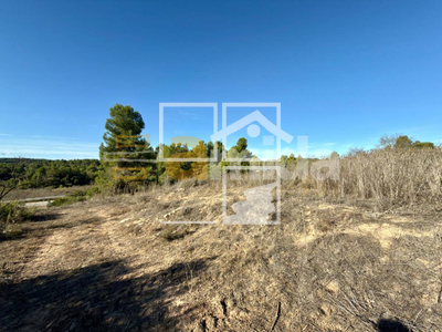 Local en Vinaixa Lleida