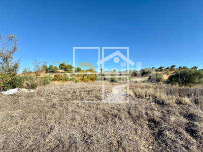 Local en Vinaixa Lleida