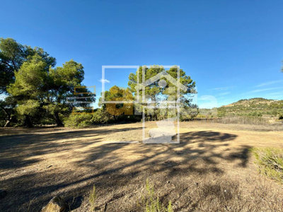 Local en Vinaixa Lleida