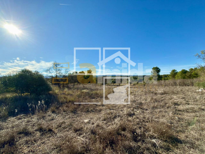 Local en Vinaixa Lleida