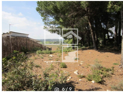 Local en Calafell Tarragona