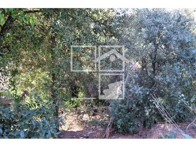 Inmueble en Carena Llarga, Barcelona